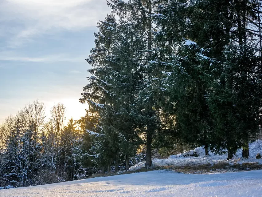 ⚡ ALL PEOPLE IN THE WORLD ARE LIARS | MASTER WOO MYUNG | SANTA CLARA MEDITATION