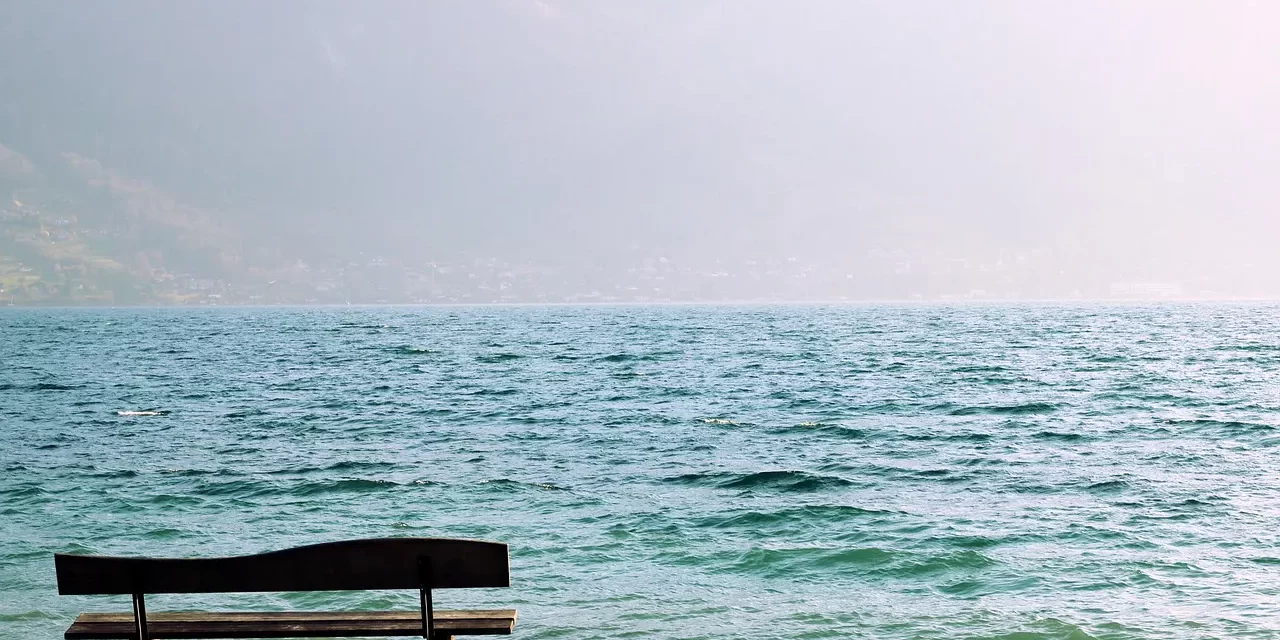 🌅 WHAT IS LIFE: EXISTENCE AND NON-EXISTENCE AS ONE | MASTER WOO MYUNG | SANTA CLARA MEDITATION