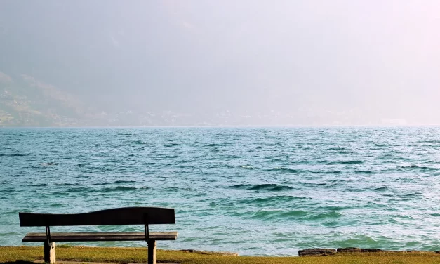 🌅 WHAT IS LIFE: EXISTENCE AND NON-EXISTENCE AS ONE | MASTER WOO MYUNG | SANTA CLARA MEDITATION