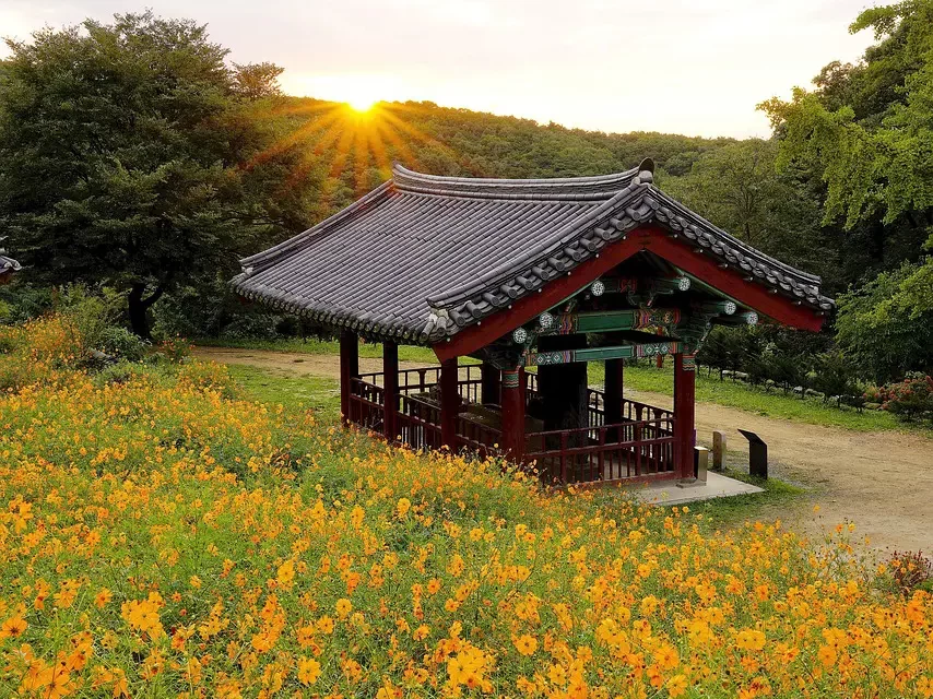🌈 Finding God, Buddha, and Allah in the Land of Truth | Master Woo Myung | Santa Clara Meditation