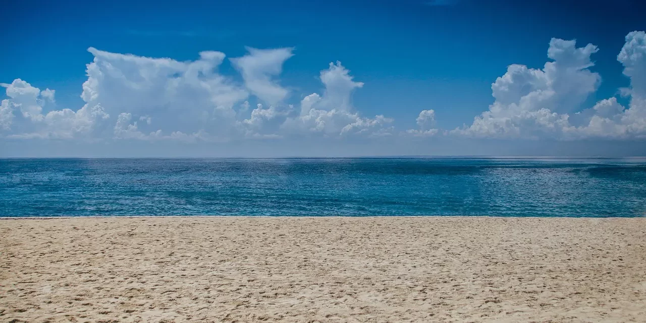 🌌 Insane People: Delusion, Attachment, and the Loss of Truth | Master Woo Myung | Santa Clara Meditation