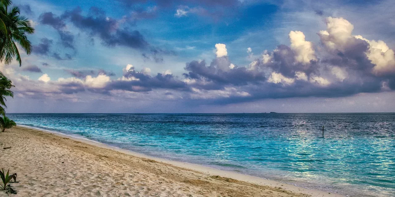 ✨ MIND: Original Mind and Human Mind | MASTER WOO MYUNG | SANTA CLARA MEDITATION