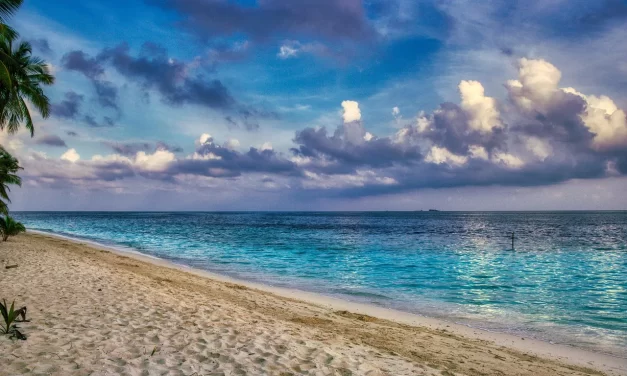 ✨ MIND: Original Mind and Human Mind | MASTER WOO MYUNG | SANTA CLARA MEDITATION