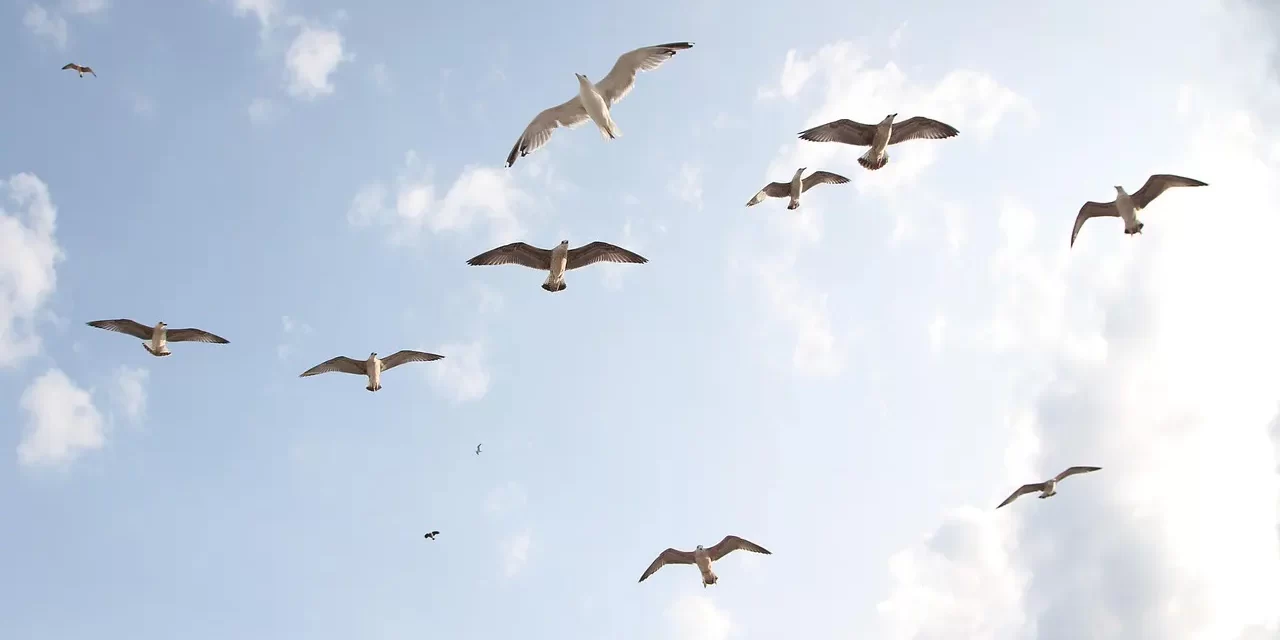 🌈 I NEED YOUR HELP WITH ACHIEVING ENLIGHTENMENT ABOUT MYSELF: Becoming Truth | MASTER WOO MYUNG | SANTA CLARA MEDITATION