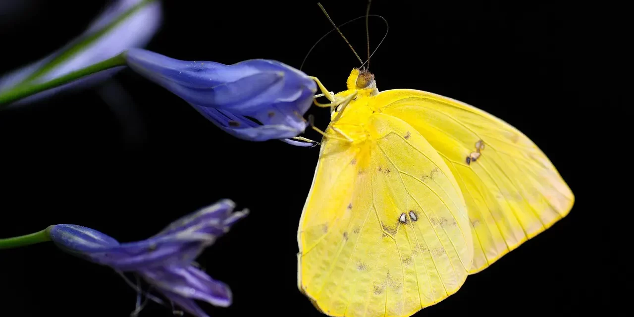 🌅 I HAVE EXPERIENCED MANY HARDSHIPS IN LIFE. I WANT TO FIND THE MEANING OF LIFE IN THIS GRUELING LIFE.: True Mind of Truth | MASTER WOO MYUNG | SANTA CLARA MEDITATION