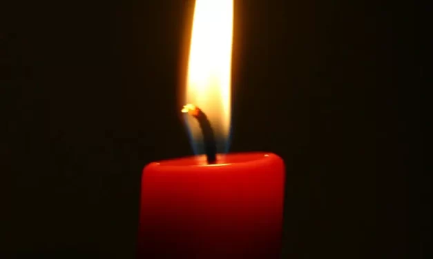 ✨ EVERYTHING IS ONE’S OWN FAULT WHEN SEEN FROM TRUTH | MASTER WOO MYUNG | SANTA CLARA MEDITATION