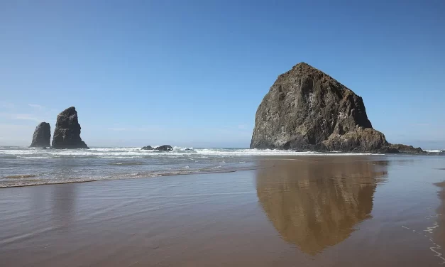 🌟 ENLIGHTENMENT: DISCARDING FALSE MIND & BECOMING TRUTH | MASTER WOO MYUNG | SANTA CLARA MEDITATION