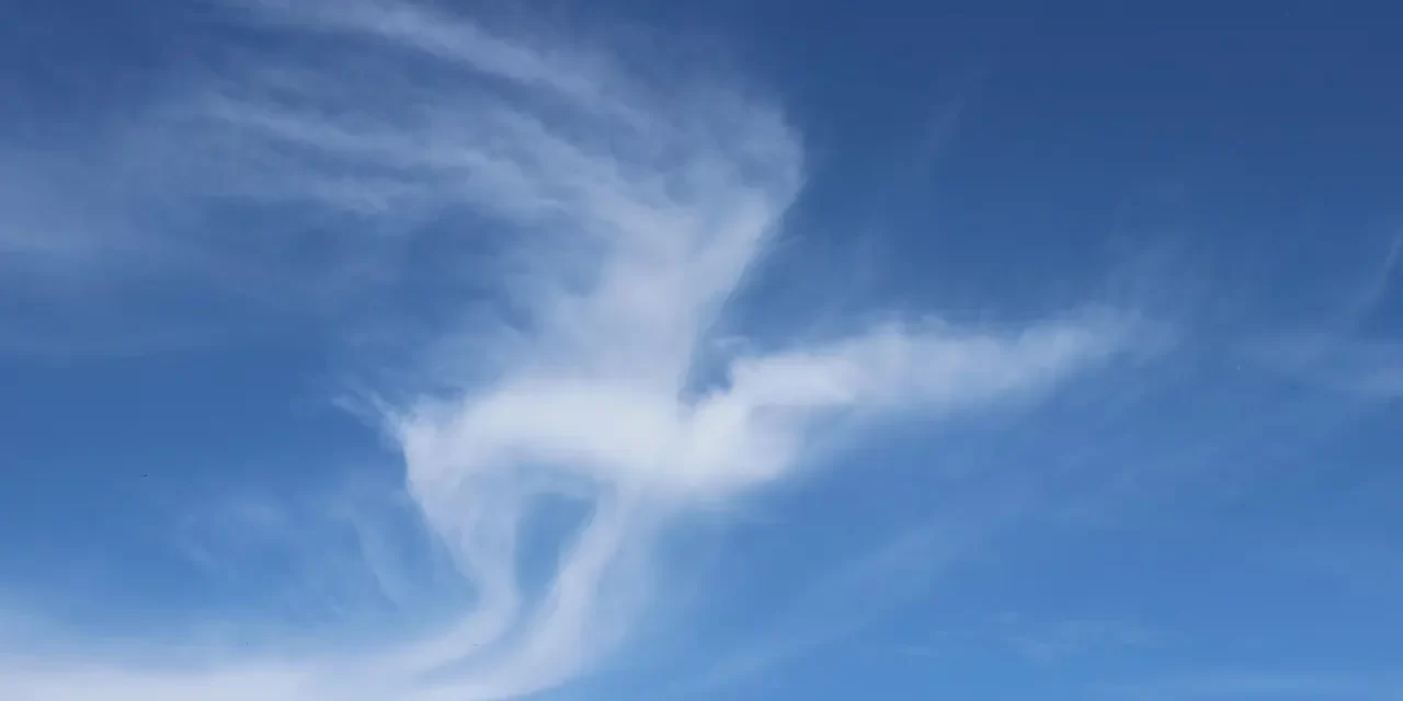 🌌 What Is the Original Substance of the Universe? | Master Woo Myung | Santa Clara Meditation