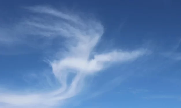 🌌 What Is the Original Substance of the Universe? | Master Woo Myung | Santa Clara Meditation