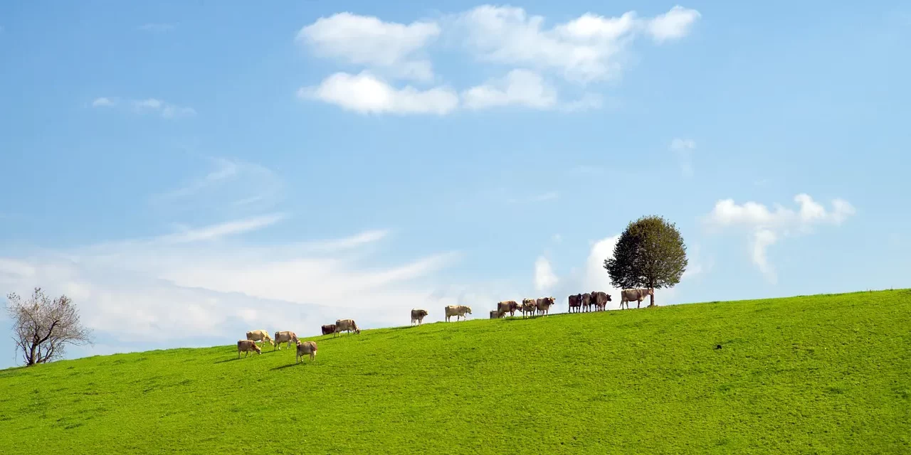 💗 The Level Where One Can Love His Enemies | Master Woo Myung | Santa Clara Meditation