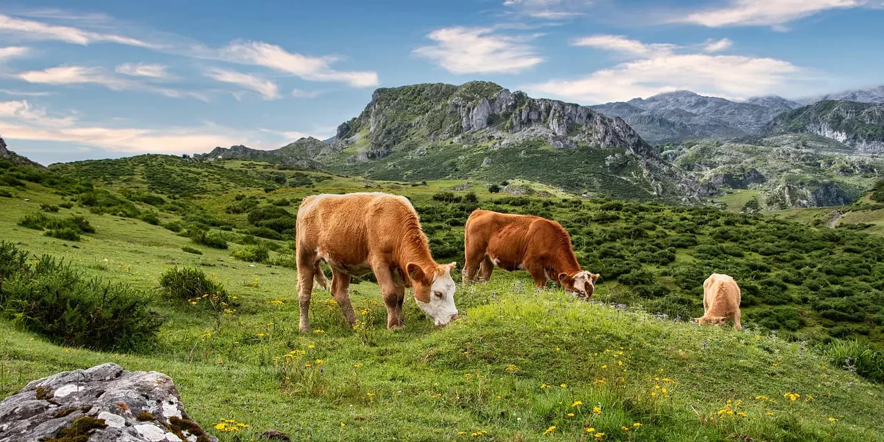 🌈 One Lives According to What He Has Within His Mind: Awakening to the True Mind | Master Woo Myung | Santa Clara Meditation