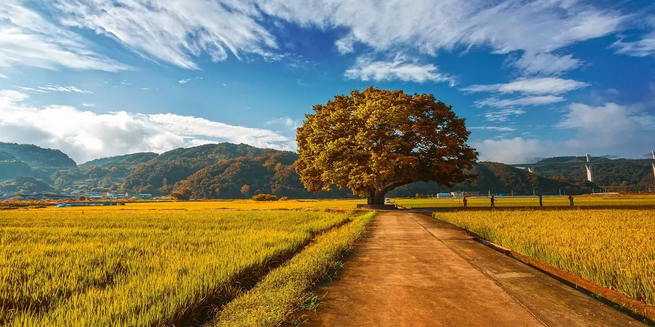 🌠 Man Is the Only One That Can Save the Universe | Master Woo Myung | Santa Clara Meditation