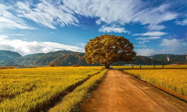 🌠 Man Is the Only One That Can Save the Universe | Master Woo Myung | Santa Clara Meditation