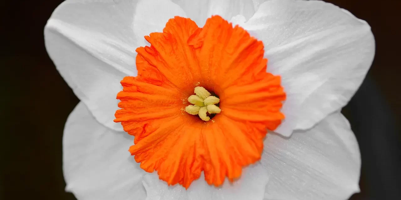 🌌 Antisthenes on Happiness: Which Teachings Are Right and Which Are Wrong? | Master Woo Myung | Santa Clara Meditation