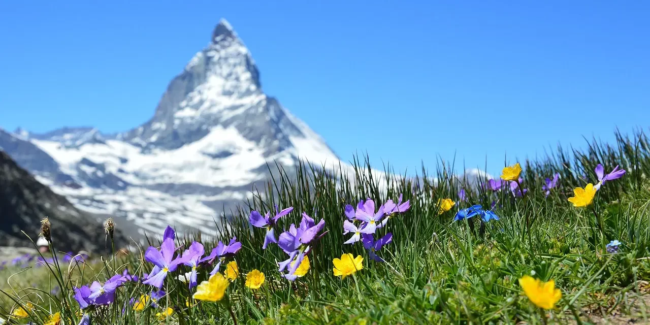 🌍 Coming from Outside the System: The Existence of Truth Beyond Religion | Master Woo Myung | Santa Clara Meditation