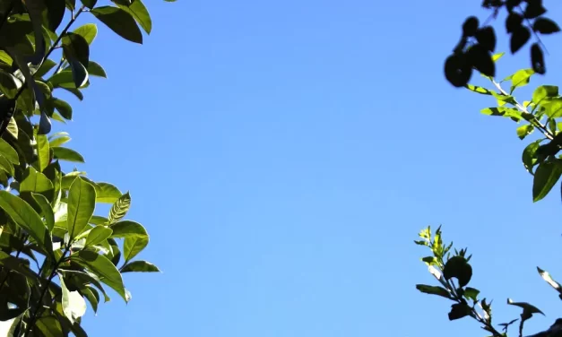 🌌 ONE DOES NOT HAVE ANY HUMAN MINDS IN TRUTH: Becoming the Jung and Shin of the Creator Beyond All Human Thought | MASTER WOO MYUNG | SANTA CLARA MEDITATION