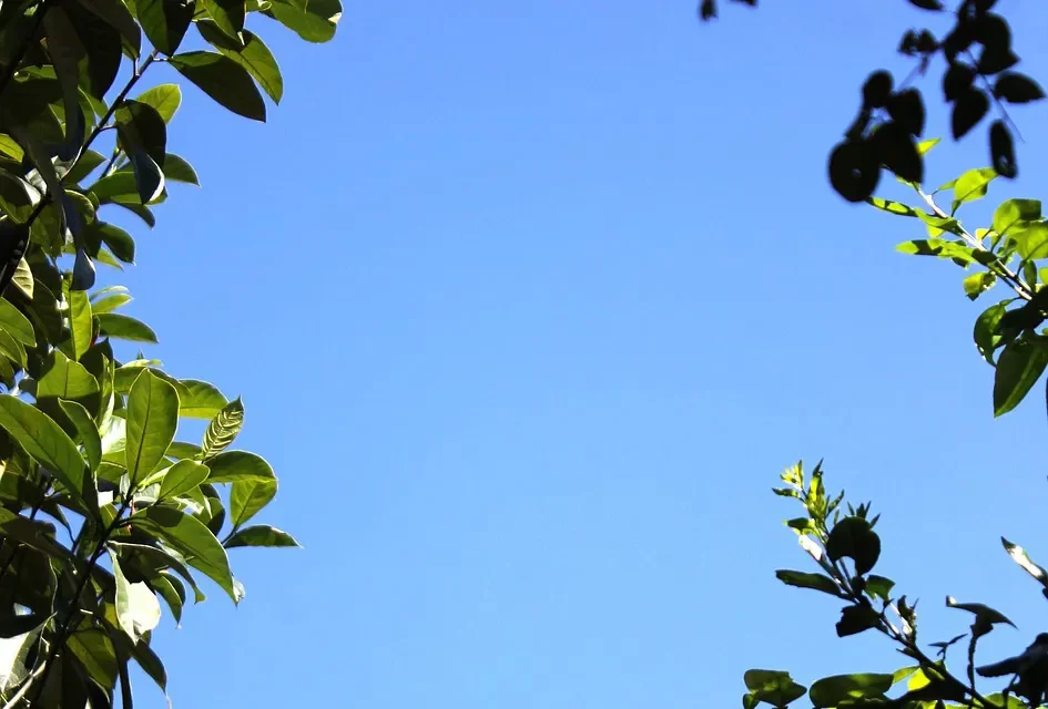 🌌 ONE DOES NOT HAVE ANY HUMAN MINDS IN TRUTH: Becoming the Jung and Shin of the Creator Beyond All Human Thought | MASTER WOO MYUNG | SANTA CLARA MEDITATION