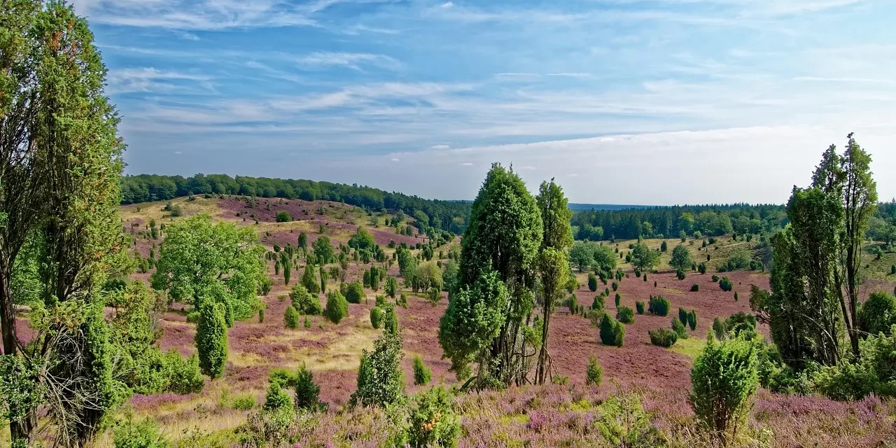 🌞 EVERYTHING IS IN ME: TRUE PARADISE & ONENESS | MASTER WOO MYUNG | SANTA CLARA MEDITATION
