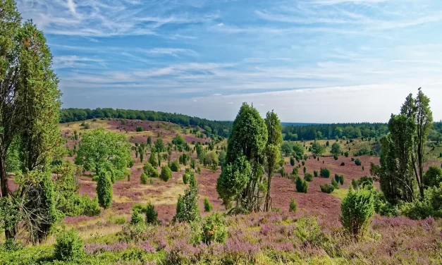 🌞 EVERYTHING IS IN ME: TRUE PARADISE & ONENESS | MASTER WOO MYUNG | SANTA CLARA MEDITATION