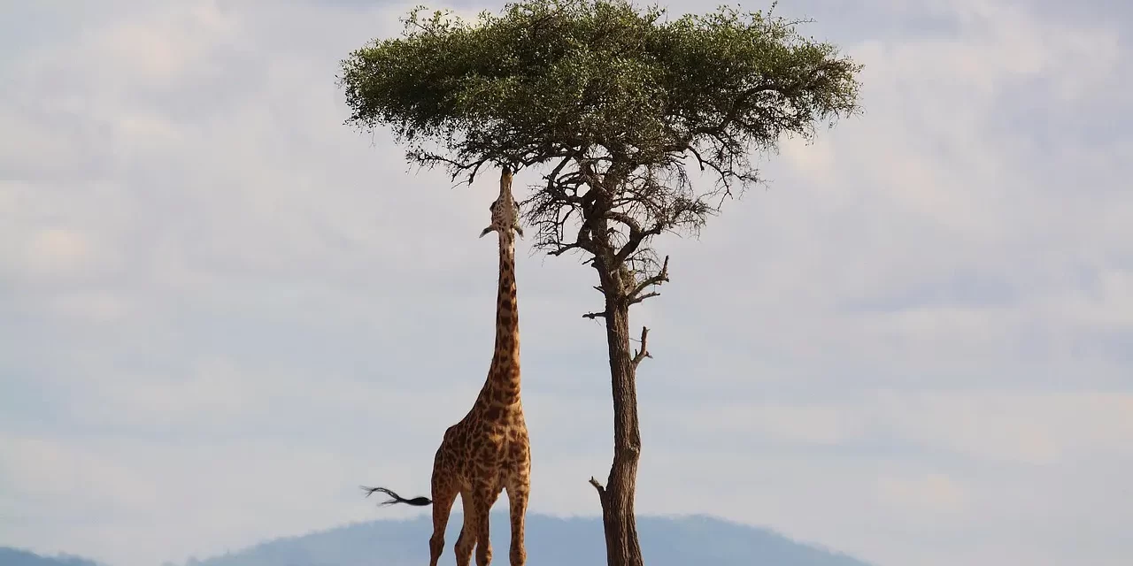 ✨ The One and Only God: Repentance, Resurrection, and Becoming a Child of Heaven | Master Woo Myung | Santa Clara Meditation