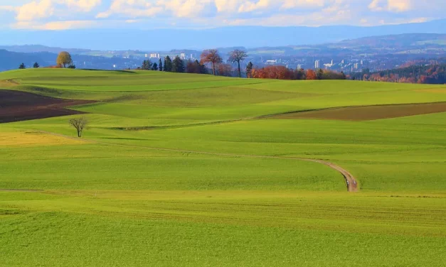 🌏✨ UNION: Oneness of Heaven Earth and Man | MASTER WOO MYUNG | SANTA CLARA MEDITATION