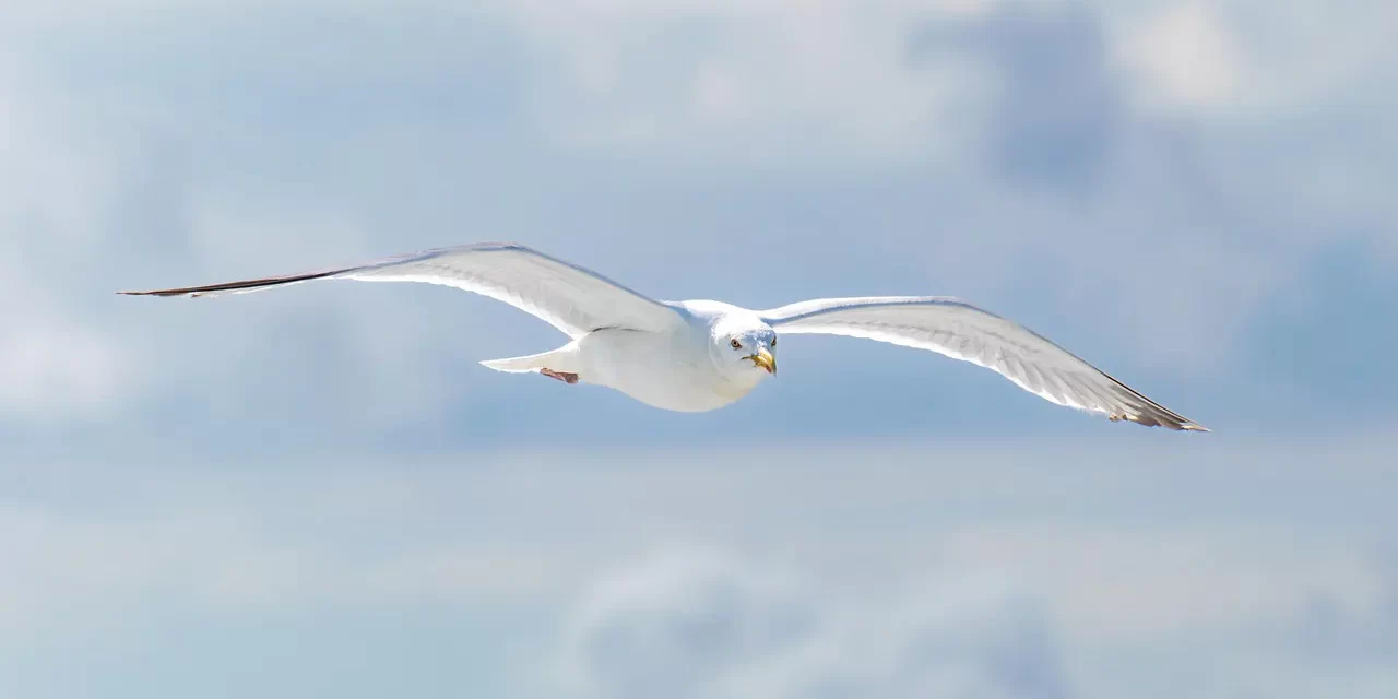 🌤️ A Sinner Cannot Go to Heaven: Understanding the False Mind and True Heaven | Master Woo Myung | Santa Clara Meditation