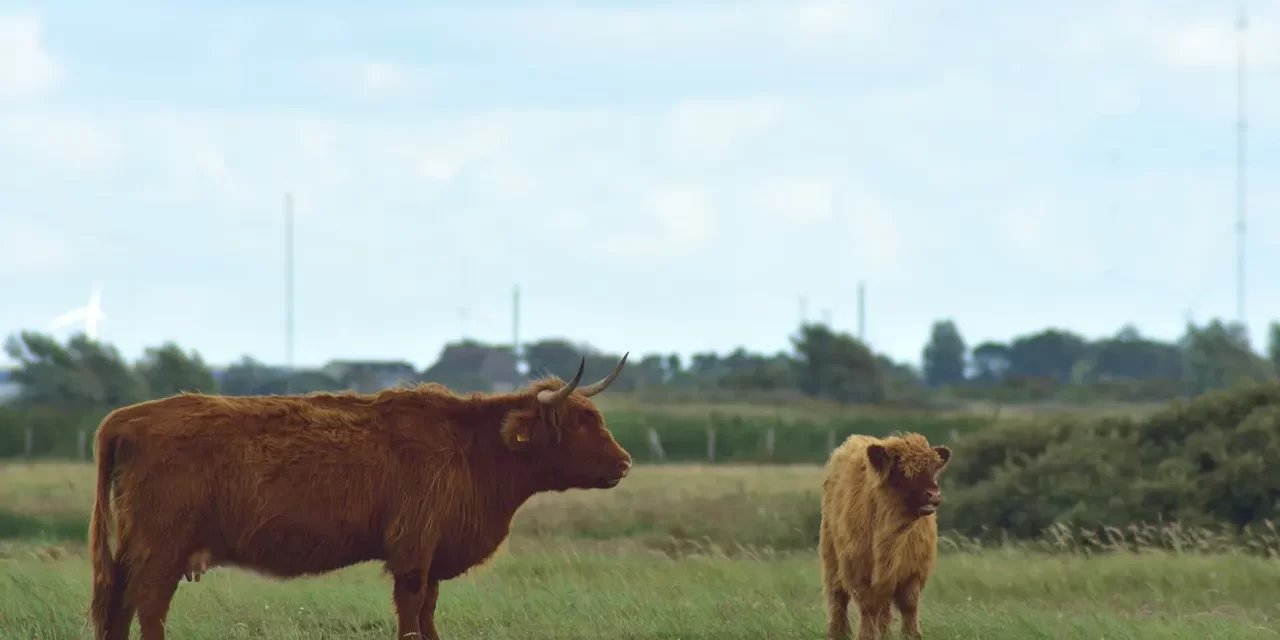 🌌 Even When They Are Told Again and Again, People Do Not Understand: Becoming the Mind of Truth | Master Woo Myung | Santa Clara Meditation