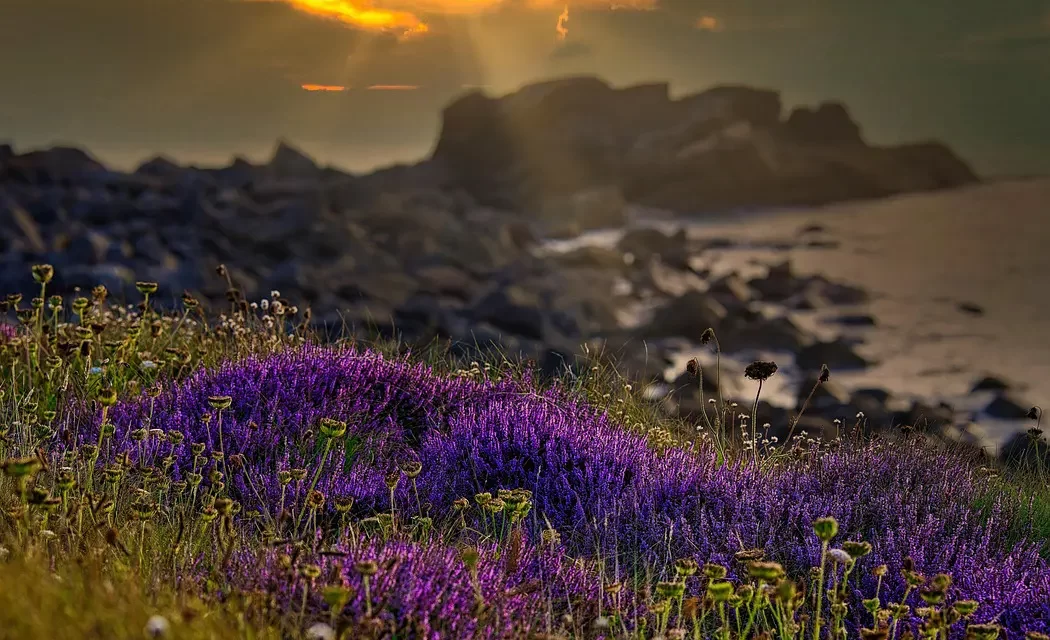 🌌 The Picture World and the True World: Illusion, Suffering, and Timeless Life | Master Woo Myung | Santa Clara Meditation