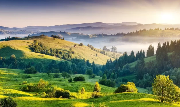 🌍 EARTH II: The Mother of All Creations and the Harmony of Truth | MASTER WOO MYUNG | SANTA CLARA MEDITATION