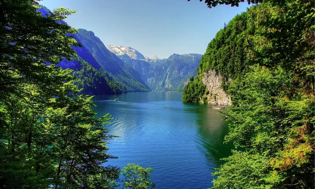 🌄 The World of Divine Beings: Awakening from the Saha World | Master Woo Myung | Santa Clara Meditation