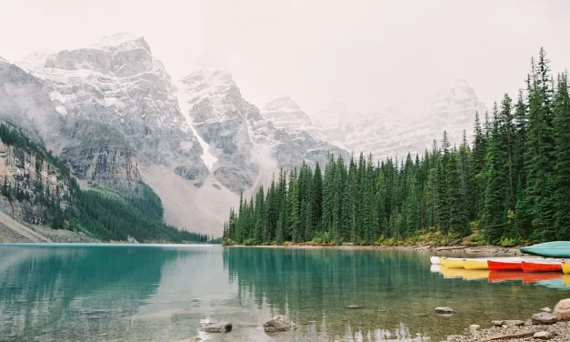 🌄 The Land of Buddha and God: The Oneness of All Creations | Master Woo Myung | Santa Clara Meditation