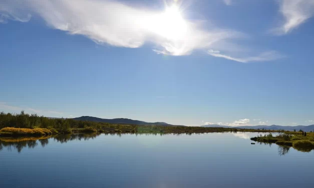 🌿 Everyone Must Repent: Becoming Truth Through Enlightened Consciousness | Master Woo Myung | Santa Clara Meditation