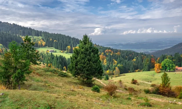 🧭 It Takes the Right Solution to Live in This World: The Only Righteous Way | Master Woo Myung | Santa Clara Meditation