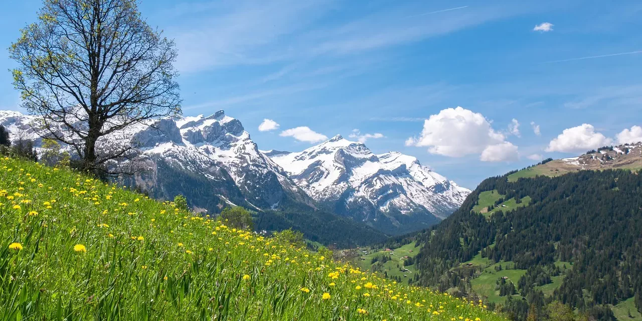 🌄 The Eight Levels of Enlightenment: Only Completion Is True Awakening | Master Woo Myung | Santa Clara Meditation