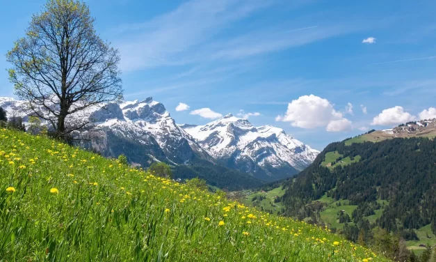 🌄 The Eight Levels of Enlightenment: Only Completion Is True Awakening | Master Woo Myung | Santa Clara Meditation