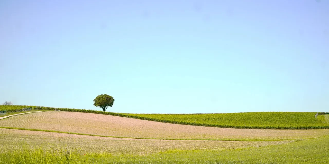 🌐 What Is Telepathy and How Are Thoughts Sent? Understanding the Mind Beyond Self | Master Woo Myung | Santa Clara Meditation