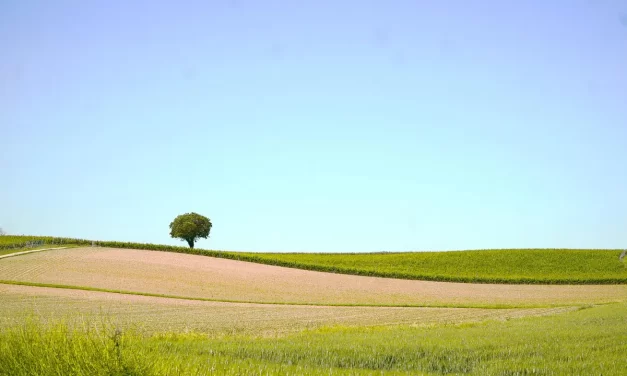 🌐 What Is Telepathy and How Are Thoughts Sent? Understanding the Mind Beyond Self | Master Woo Myung | Santa Clara Meditation