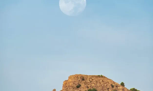 🌤️ GOD, BUDDHA, ALLAH DO NOT EXIST IN THE WORLD WHERE PEOPLE LIVE: Real Truth Appears Only in the True Mind | MASTER WOO MYUNG | SANTA CLARA MEDITATION