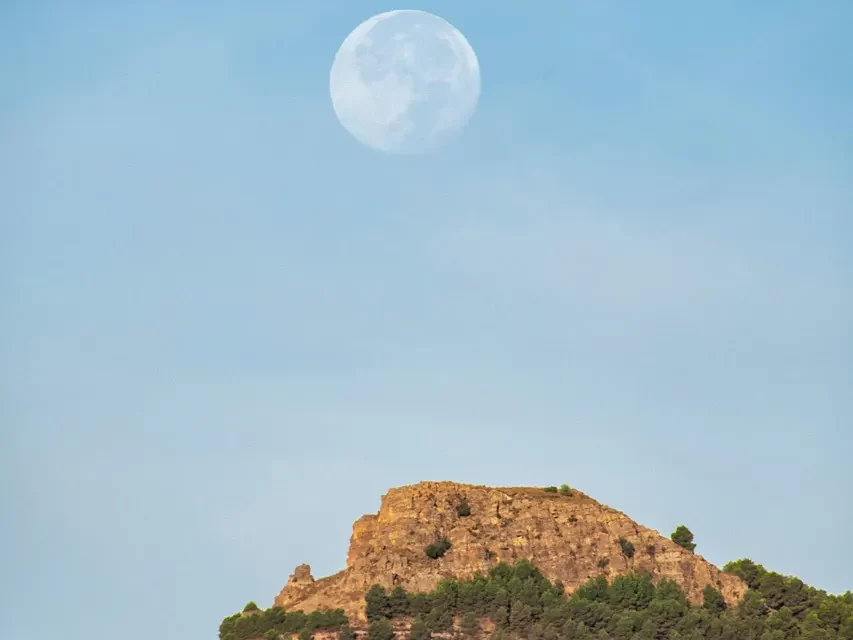 🌤️ GOD, BUDDHA, ALLAH DO NOT EXIST IN THE WORLD WHERE PEOPLE LIVE: Real Truth Appears Only in the True Mind | MASTER WOO MYUNG | SANTA CLARA MEDITATION