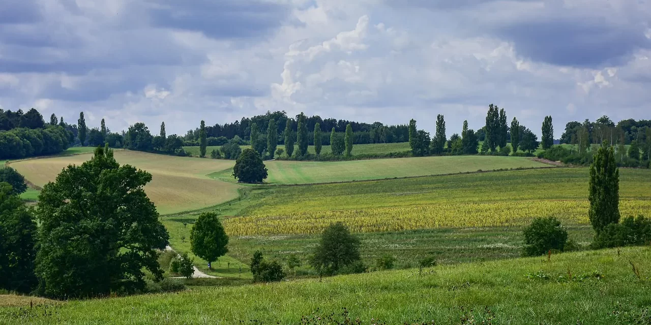 🌿 Repentance and Cleansing of the Mind Are One: Sin Freedom Attachment Delusion Truth Life | Master Woo Myung | Santa Clara Meditation