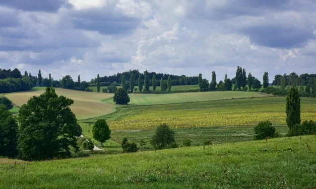 🌿 Repentance and Cleansing of the Mind Are One: Sin Freedom Attachment Delusion Truth Life | Master Woo Myung | Santa Clara Meditation
