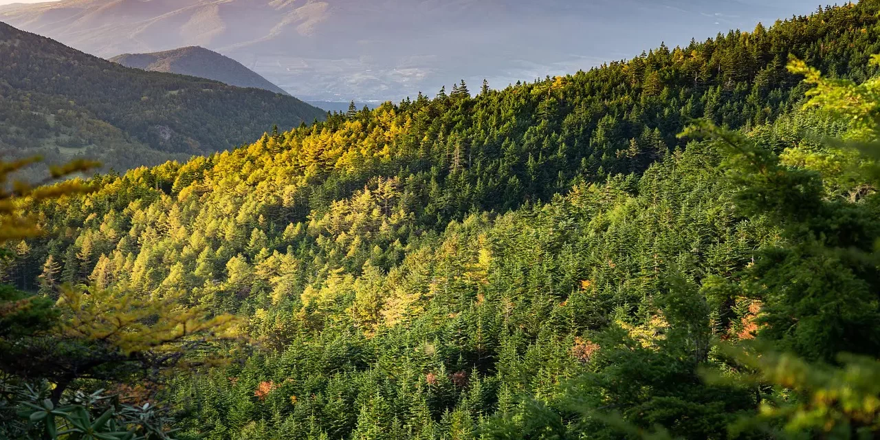 🌊 A Life of Nature’s Flow: Living Beyond the False Self in Universal Order | Master Woo Myung | Santa Clara Meditation