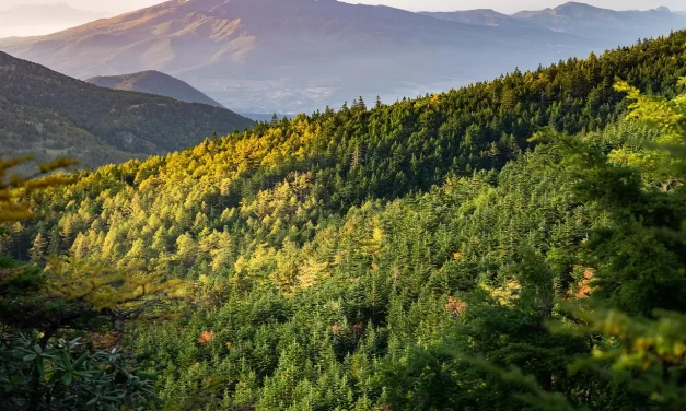 🌊 A Life of Nature’s Flow: Living Beyond the False Self in Universal Order | Master Woo Myung | Santa Clara Meditation