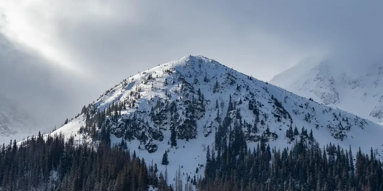🌿 Resolution of Angst: Freedom Through the Absence of Self | Master Woo Myung | Santa Clara Meditation