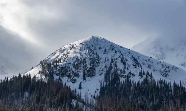 🌿 Resolution of Angst: Freedom Through the Absence of Self | Master Woo Myung | Santa Clara Meditation