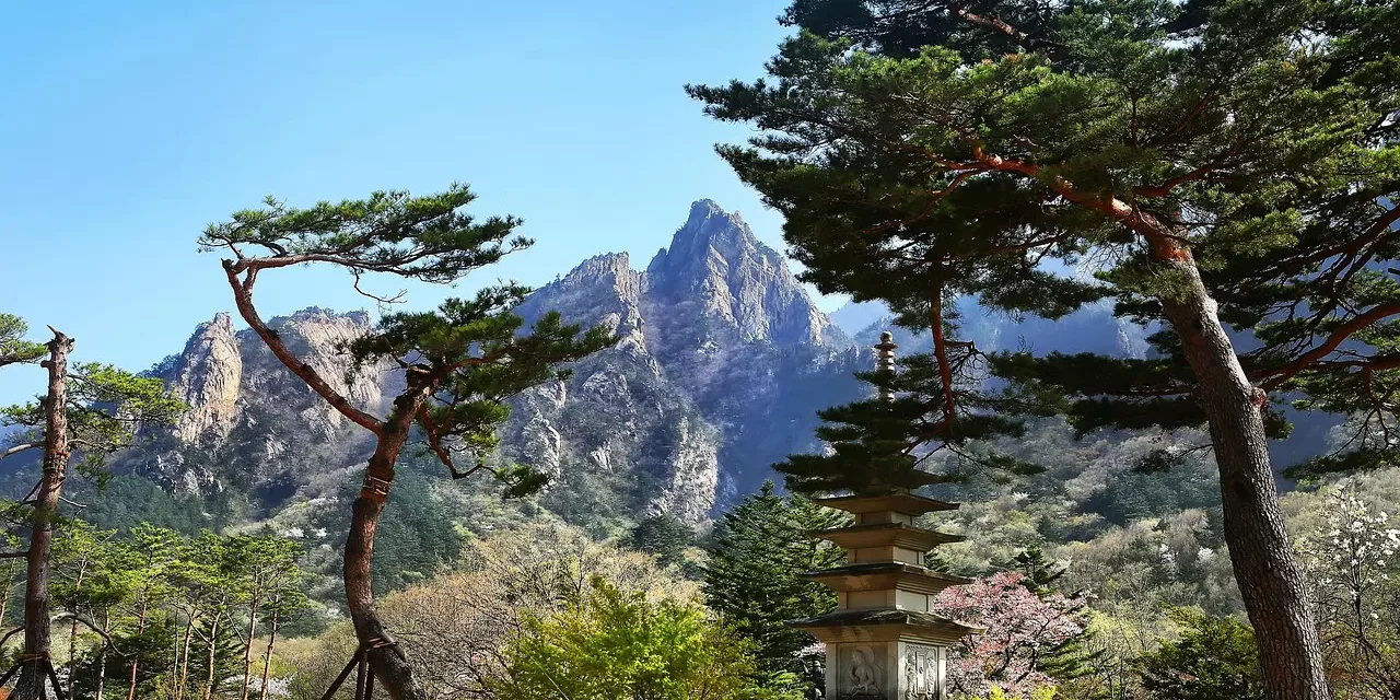 🌌 Haneol: Jung, Shin, and the Oneness of Pure Emptiness and Wondrous Existence | Master Woo Myung | Santa Clara Meditation