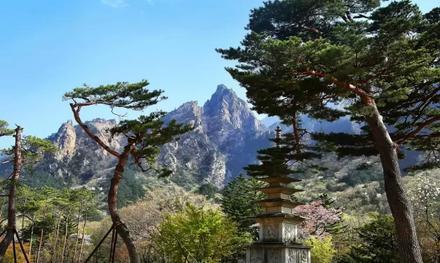 🌌 Haneol: Jung, Shin, and the Oneness of Pure Emptiness and Wondrous Existence | Master Woo Myung | Santa Clara Meditation