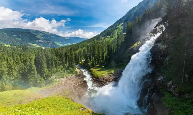 🌿 Why Illnesses Become Cured: Healing Through the Disappearance of the False Mind | Master Woo Myung | Santa Clara Meditation