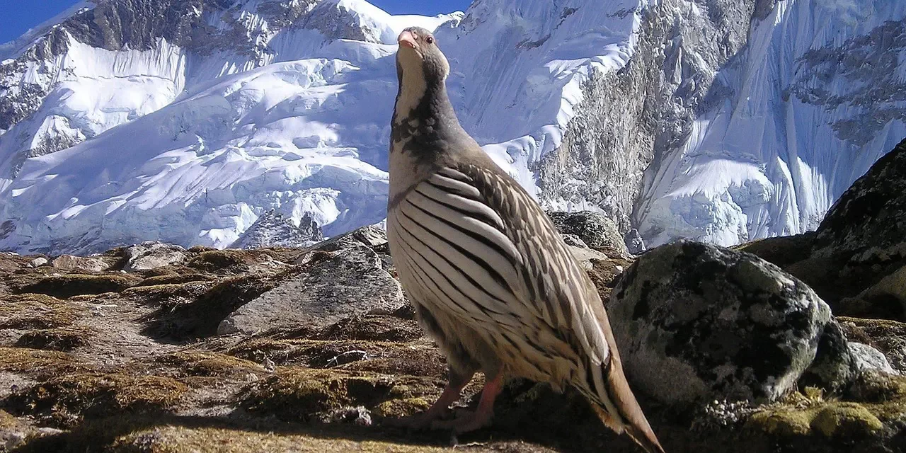 🌌 Plotinus and the One: Why His Theory of Good and Evil Is Incorrect | Master Woo Myung | Santa Clara Meditation