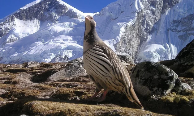 🌌 Plotinus and the One: Why His Theory of Good and Evil Is Incorrect | Master Woo Myung | Santa Clara Meditation